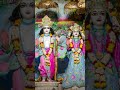 Today's Mangal Aarti Darshan@ Sri Radha Parthasarthi Temple/Iskcon Delhi#06.06.2026#shorts💐💐