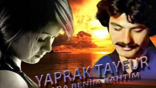 Yaprak Tayfur Kara Beni̇m Bahtim Resimi