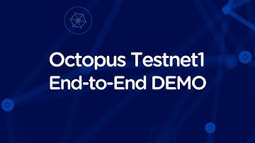 Octopus Testnet1 End-to-End DEMO