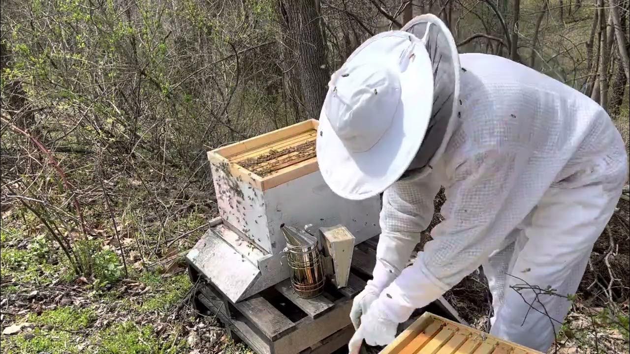 Adding A Second Brood Box To Hive 2. 452022 YouTube