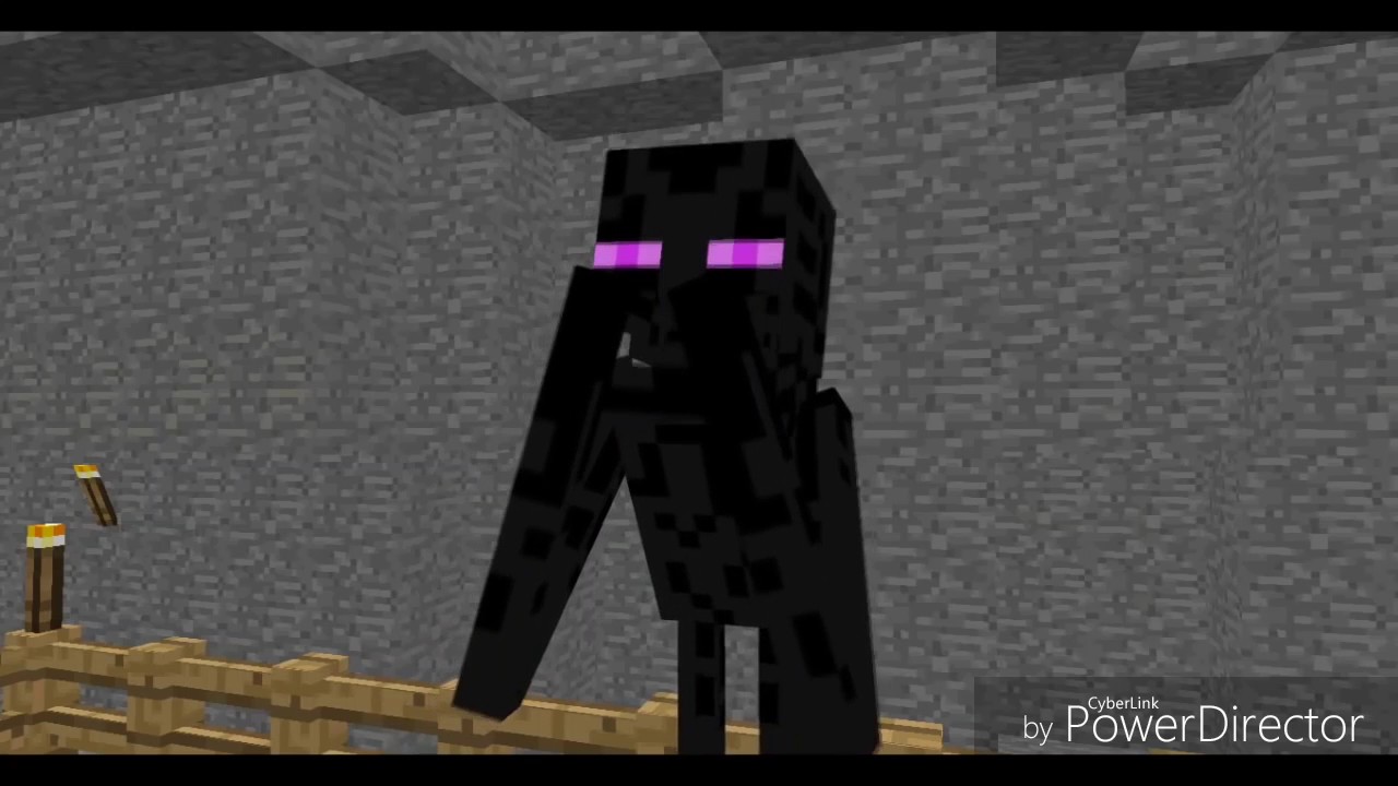 Wither skeleton vs enderman.