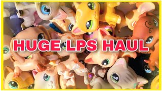 I got so many LPS shorthair cats! HUGE LPS HAUL