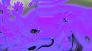 Test Digital The Good Dipper 3.0 Effects In Jimmyhogs Major 2