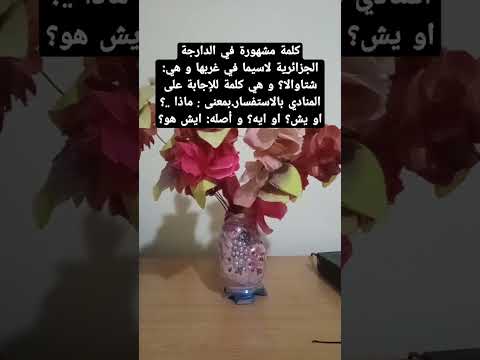 معنى و أصل كلمة شتاوالا بالدارجة الجزائرية