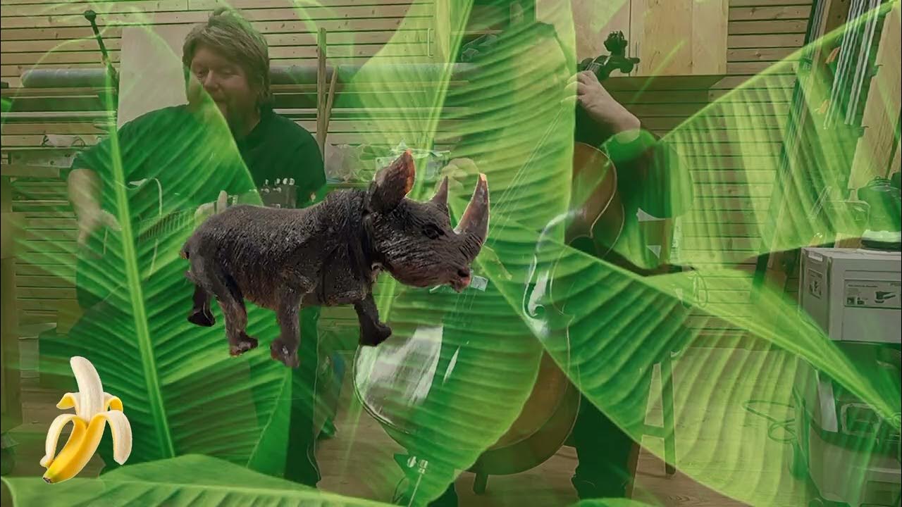 Willst du eine Banane Manuel Hafner & Nadjas Cello und ein Nashorn YouTube