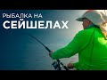 Морская рыбалка. Сейшелы. Fish travel expert Михаил Карпович ( Mikhail Karpovich )