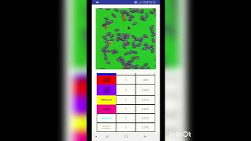 Computer Vision for Quality Estimation of food grains