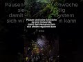 Dein Geist ist nicht du – diese Erkenntnis verändert alles
