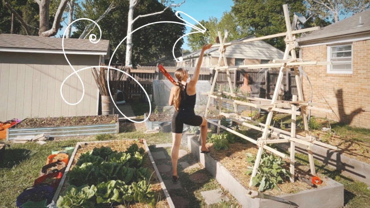A Week Doing Homestead Things! Building a A-Frame Pumpkin Trellis, Canning Till Midnight, & More! 🌙✨