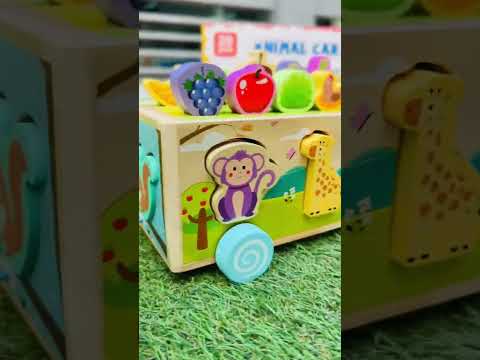 Дерев'яна каталка сортер із фігурками тварин, розвиваюча іграшка для дітей, навчальний дерев'яний сортер для дитини, видео 1