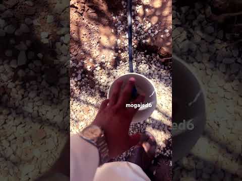 ري للاشجار والنخل مخفي با الطريقه الحديثه وتستخدم للري والاسمده