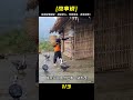 有趣的女人和可愛的寶寶 生活中爆出的驚人真相 究竟是什么樣的故事呢 有趣的女人和可愛的寶寶 生活中爆出的驚人真相 究竟是什么樣的故事呢