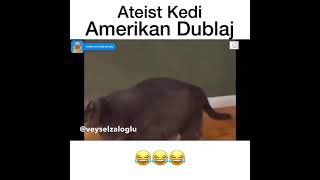 Ateist Kedi -Amerikan Dublaj