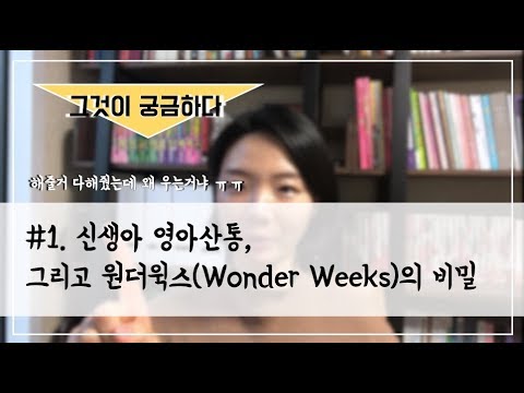 중기이유식 추천