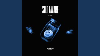 Self Aware  Speed Garage