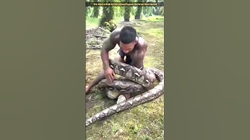 Man vs Python Fight