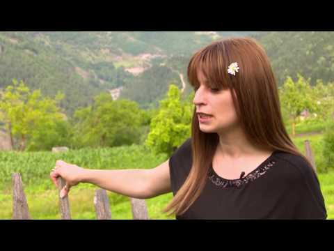 ეთნოფორი • etnopori (გადაცემა სამოცდამეექვსე) 06.07.2016წ.