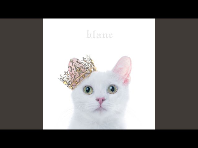 Aimer - March of Time