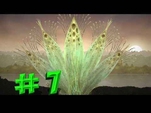 Mushroom 11 # 7 Джунгли... Конец