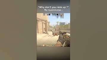 I Love My Teammates, part 2 #shorts #cs2 #counterstrike #csgo #memes #funny #cs