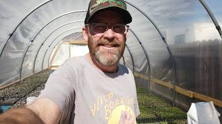 Tomato Seed Starting Questions and Answers | Wild Boar Farms