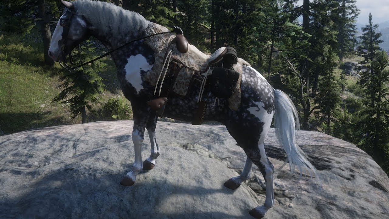 Full cách bắt ngựa Missouri Fox Trotter ở Chapter 2 || Red Dead ...