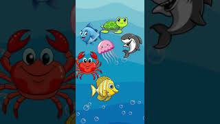 Learn Colors with Ocean Animals | Fun & Educational for Toddlers!