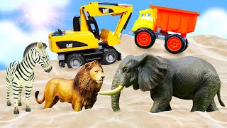 Kids play sand &amp; toy animals for kids - Toy trucks at the sandbox &amp; Learning videos.