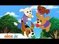 Даша и её друзья | Апорт! 🐱 | Nick Jr. Россия