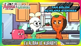 Elma ve Soğan | Ev Almak ve Kurabiye | Kısa Sahneler Resimi