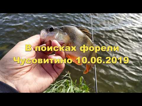 В поисках форели.Чусовитино
