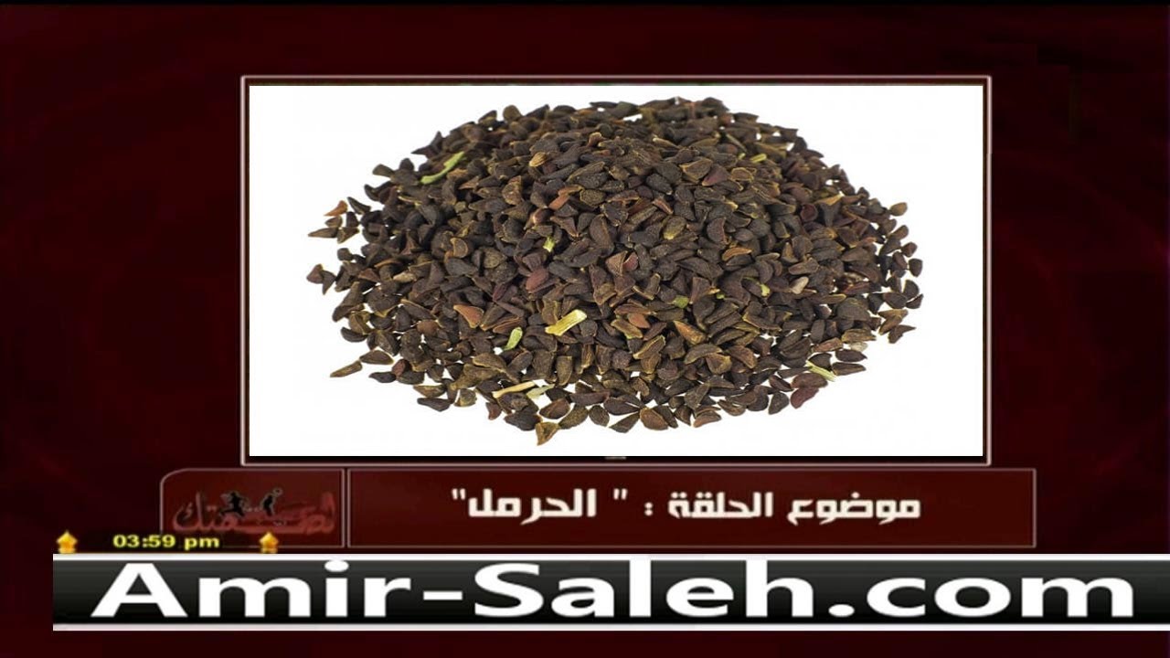 فوائد الحرمل | الدكتور أمير صالح | خمسة لصحتك