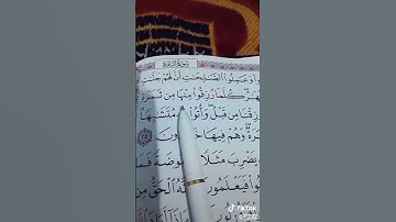 سورة البقرة من الاية 23 الى 25
