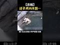 【涙腺崩壊】家を出て2日後、深い井戸の底で見つかった愛犬の姿に涙が止まらない… #shorts