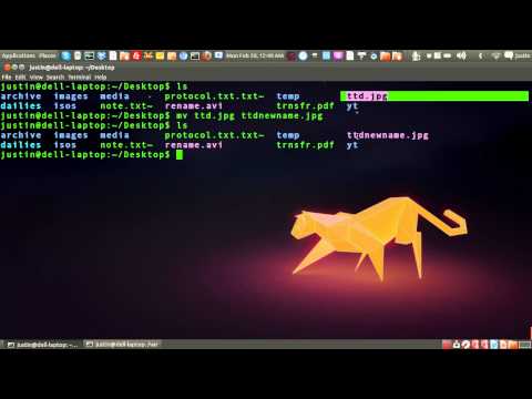 how to rename a file in the linux terminal