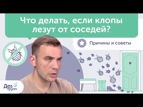 Что делать, если клопы лезут от соседей? Причины и советы | Клопы в квартире Дезинсекция Дезинфекция