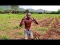 Shahiri Ya Mzee Mgonde Shahiri Ya Mzee Mgonde