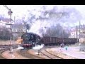 DR-Güterzüge von Rochlitz nach Colditz und Amerika mit Dampflok 50 3616 März 1994