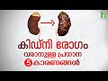 കിഡ്‌നി രോഗം വരാനുള്ള പ്രധാന 5 കാരണങ്ങൾ | Kidney Disease | Arogyam Health tips