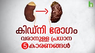 കിഡ്‌നി രോഗം വരാനുള്ള പ്രധാന 5 കാരണങ്ങൾ | Kidney Disease | Arogyam Health tips