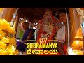 ADI SUBRAMANYA ದೇವಾಲಯ ಜಾತ್ರೆ|#ಕನ್ನಡವ್ಲಾಗ್ #chikmagalur