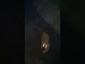 Far gözlüm 🙂🔦
