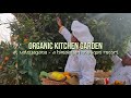 Organic kitchen garden  vatsyayana resorts