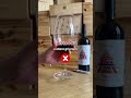 Wine Hack #2 – Come tenere il calice nel modo giusto 🍷