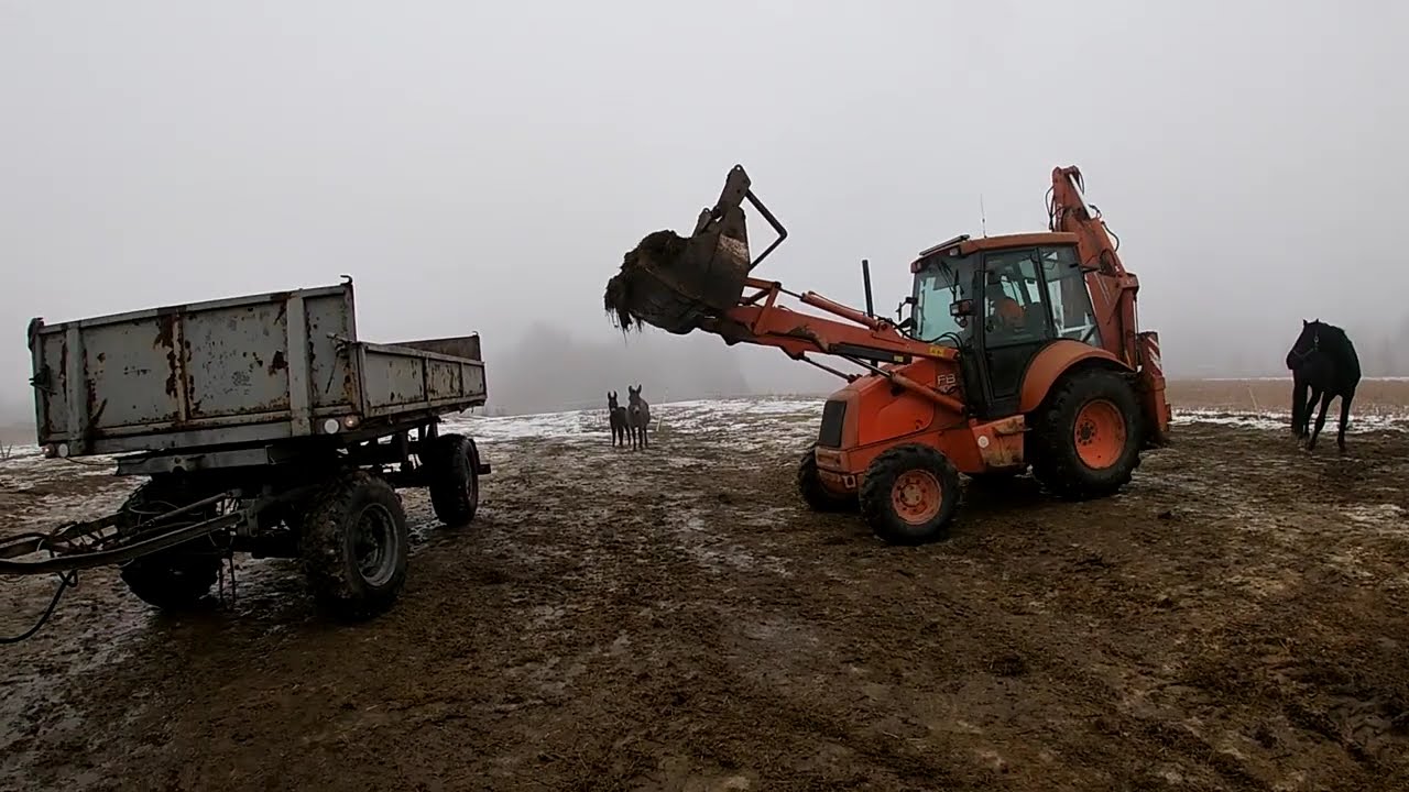 Akcja obornik awarie ursus 1224 i koparka w akcji