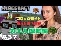 【マインクラフト】フロッグライトを手に入れる編!第2弾!カエルをネザーまで運ぶ ゆるり生配信