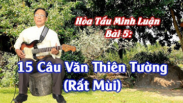 Hòa Tấu Minh Luận Bài 5: 15 Câu Văn Thiên Tường (dây Đào)
