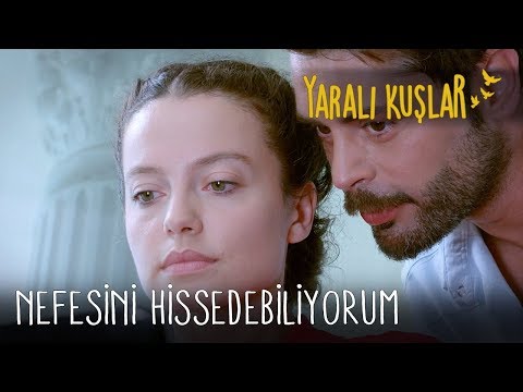 Nefesini Hissedebiliyorum | Yaralı Kuşlar 71. Bölüm (English and Spanish)