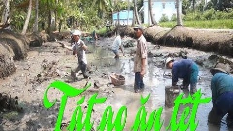 Báo Vĩnh Long | Tát ao ăn tết