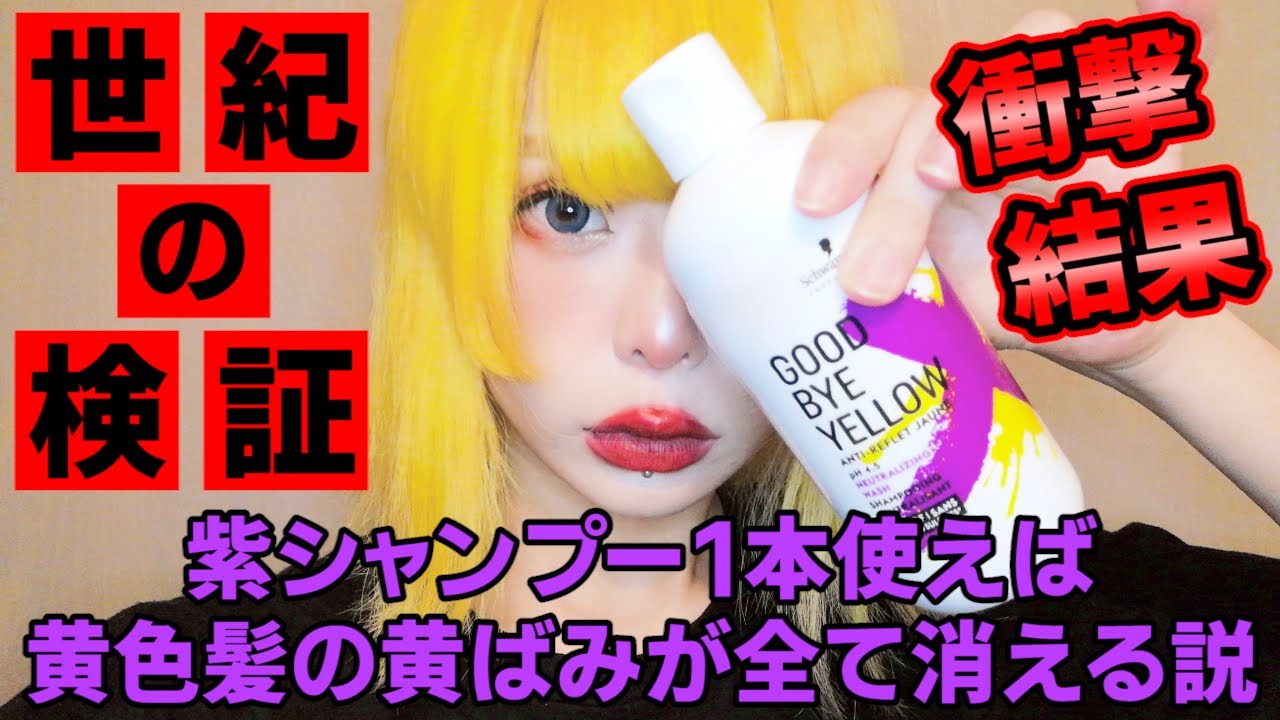 大検証 真っ黄色の髪をムラサキシャンプー1本使って白金髪にできるのか 超実験 Youtube